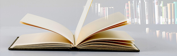 黑龍江脈沖除塵器